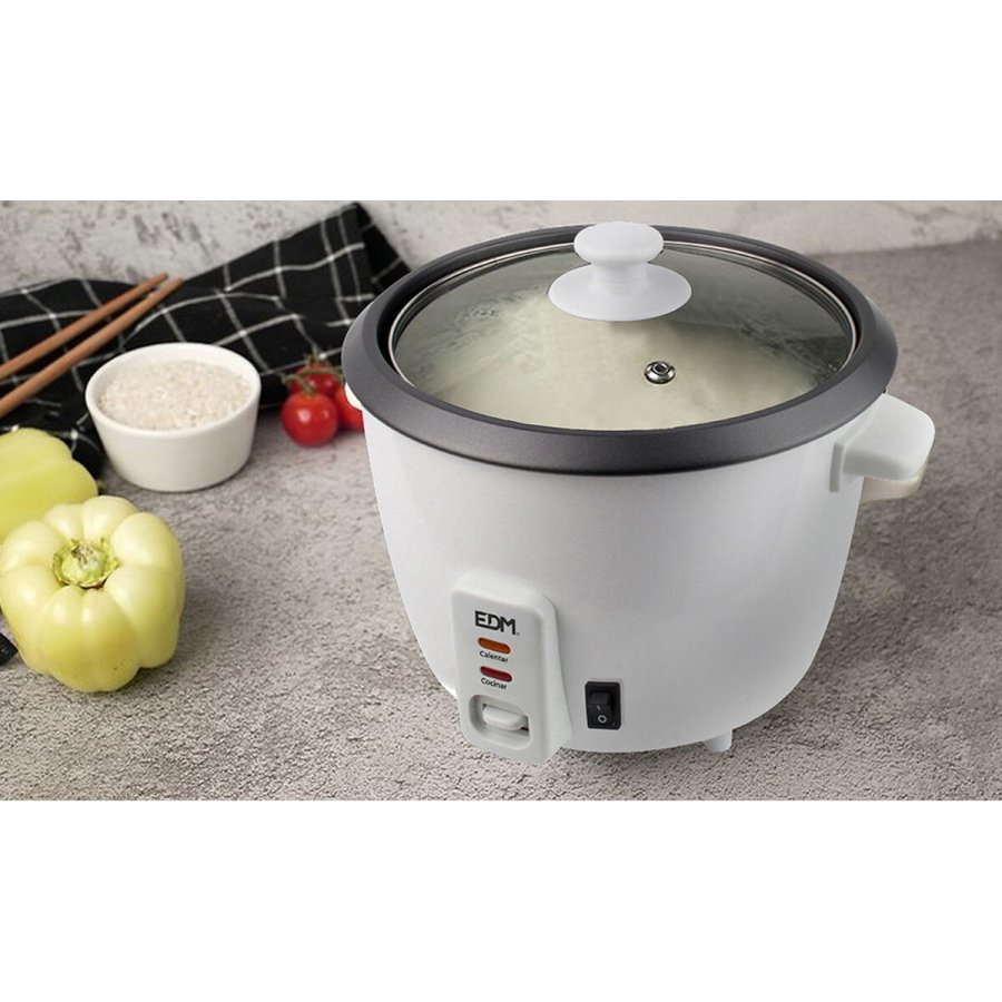 riskoger EDM 07789 400 W 1 L #7