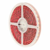 LED-b�nd EDM 31933 #2