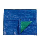 Markise EDM 74997 Bl Grn Polyester Polyetylen 90 g/m 8 x 12 m #1