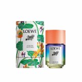 Unisex parfume Loewe PAULA'S IBIZA EDT 100 ml Paula's Ibiza Eclectic #1