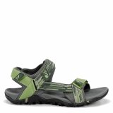 Mountain sandaler Chiruca Dakar 21 Grn #1