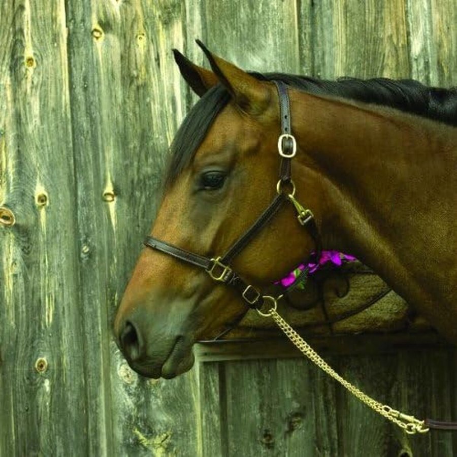 Ring til kvinder Majorica 17218.01.1.913.010.1 #1