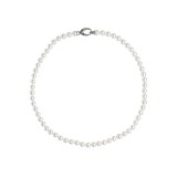 Armbnd til kvinder Majorica 09854.01.2.N45.021.1 Hvid #1