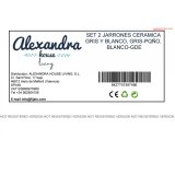 St med 2 Vaser Alexandra House Living Hvid Gr Keramik #2