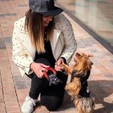 Legetj til hunde Star Wars Sort #3