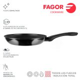Stegepande FAGOR Indutherm Sort Glaseret stl ( 26 cm) #1