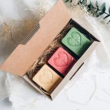 Shampoo Naturtint FORTALEZA 75 g #5