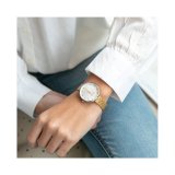 Dameur Mr. Wonderful WR80101 #2