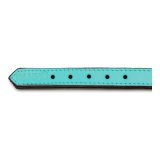 Hundehalsbnd Gloria Med puder Turquoise 40 cm (40 x 2 cm) #7