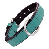 Hundehalsbnd Gloria Med puder Turquoise 45 cm (45 x 2 cm) #1