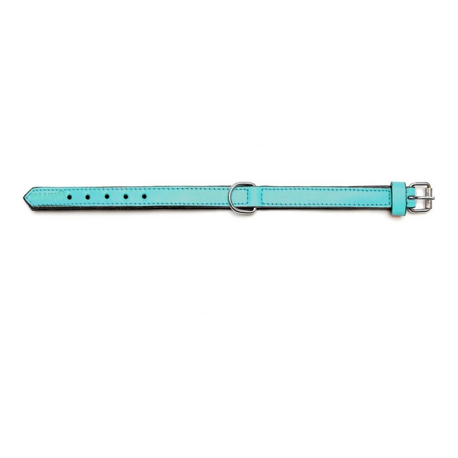 Hundehalsbnd Gloria Med puder Turquoise 45 cm (45 x 2 cm) #7