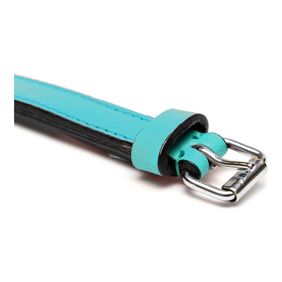 Hundehalsbnd Gloria Med puder Turquoise 45 cm (45 x 2 cm) #5