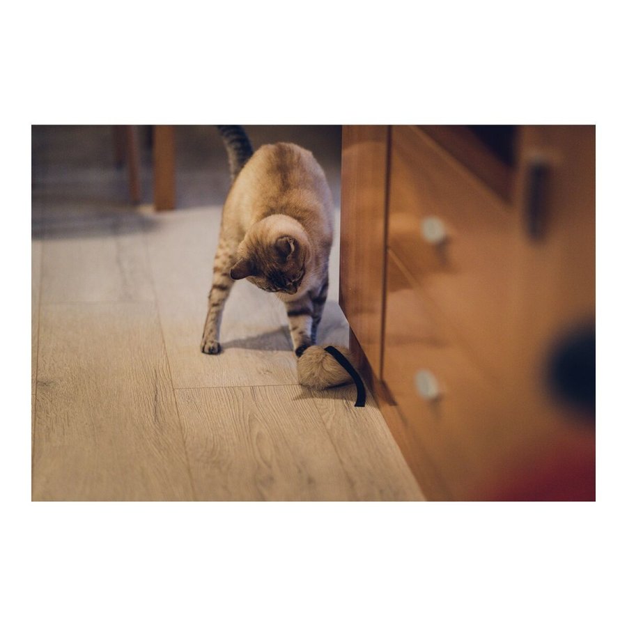 Legetj til katte Gloria Calatrava Mus #6