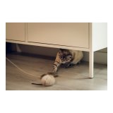 Legetj til katte Gloria Renzo Mus #6