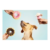 Legetj til hunde Gloria Gloicecream 9 x 9 x 17 cm Is #2