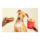 Legetj til hunde Gloria Hamburdog 14 x 6 cm Burger #4
