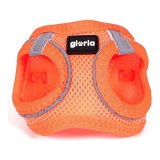 Hundesele Gloria Air Mesh Trek Star Justerbar Orange Strrelse XXXS (18-20 cm) #4