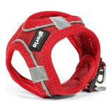 Hundesele Gloria Air Mesh Trek Star Justerbar Rd Strrelse XXXS (18-20 cm) #1
