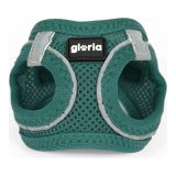 Hundesele Gloria Air Mesh Trek Star Justerbar Turkisbl Strrelse XXXS (18-20 cm) #4