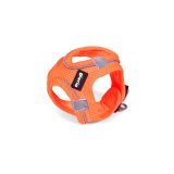 Hundesele Gloria Trek Star 24-26 cm 28-28,6 cm Orange XXS #2