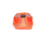 Hundesele Gloria Trek Star 27-28 cm 31-34,6 cm Orange XS #1