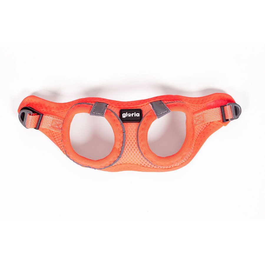 Hundesele Gloria Trek Star 27-28 cm 31-34,6 cm Orange XS #4