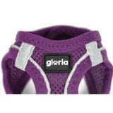 Hundesele Gloria 41,4-43 cm Lilla S 29,4-32,6 cm #2