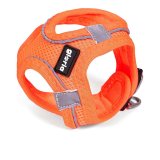 Hundesele Gloria Air Mesh Trek Star Justerbar Orange L (33,4-35 cm) #1