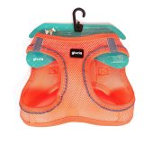 Hundesele Gloria Air Mesh Trek Star Justerbar Orange L (33,4-35 cm) #2