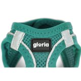 Hundesele Gloria Trek Star 33,4-35 cm 51-52 cm Turkisbl L #6