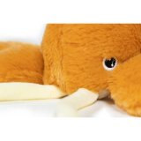 Legetj til hunde Gloria Orange polypropylen #4