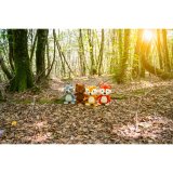 Legetj til hunde Gloria Nitzan polypropylen #3