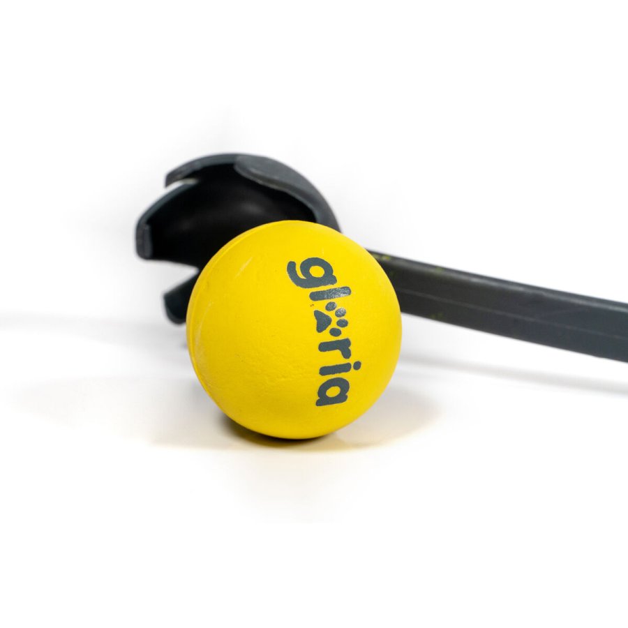 Boldkaster til hunde Gloria #6