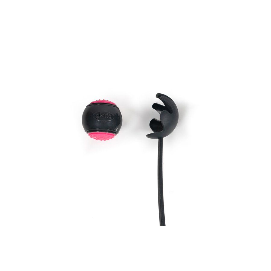 Boldkaster til hunde Gloria #4