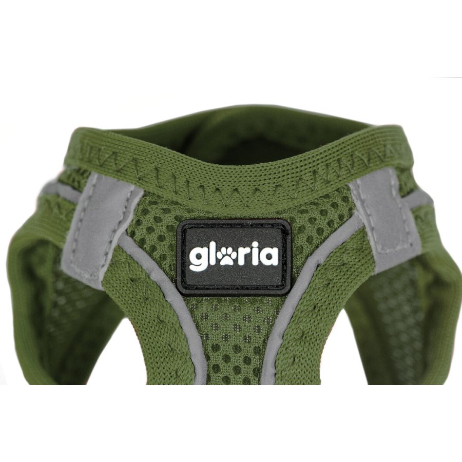 Hundesele Gloria 41,4-43 cm Grn S 29,4-32,6 cm #1