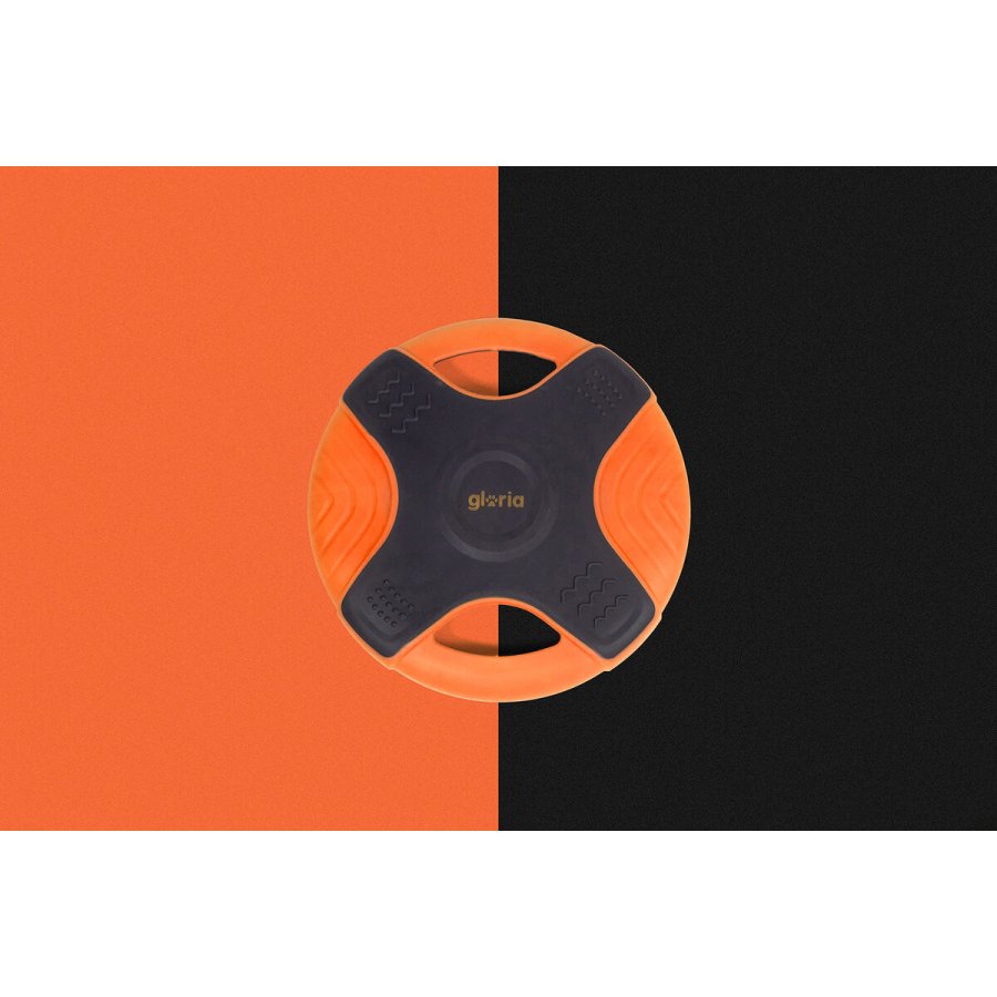 Frisbee Gloria Orange TPR 25 cm #2