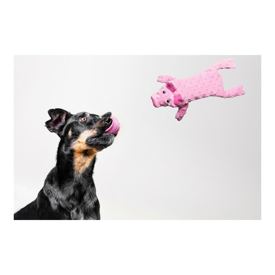 Legetj til hunde Gloria Dogmonsters Pink Gris 34 x 9 cm #3