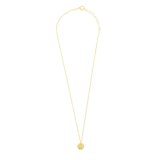 Halskde Radiant RY000028 50 cm #2