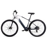 Elektrisk cykel Youin BK3000 EVEREST 250 W 29