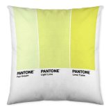 Pudebetrk Ombre C Pantone Localization_B086JQZYZH Vendbar 50 x 50 cm #1