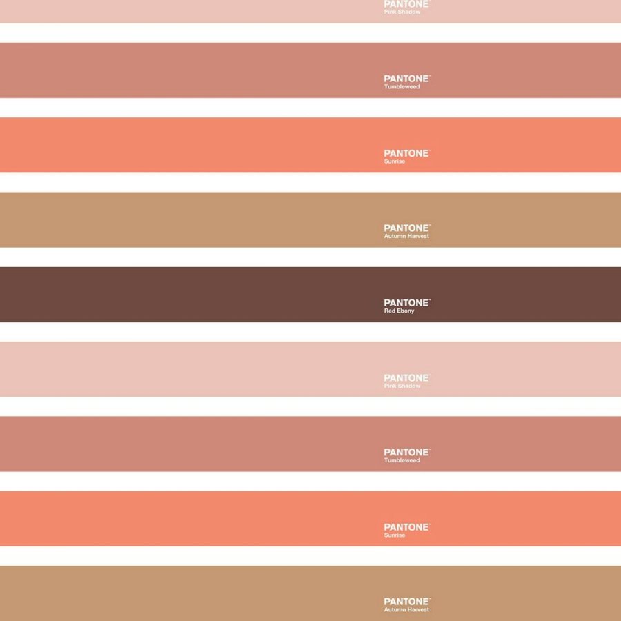 Nordisk cover Wide C Pantone #2