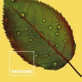 Nordisk cover Nature Pantone #2
