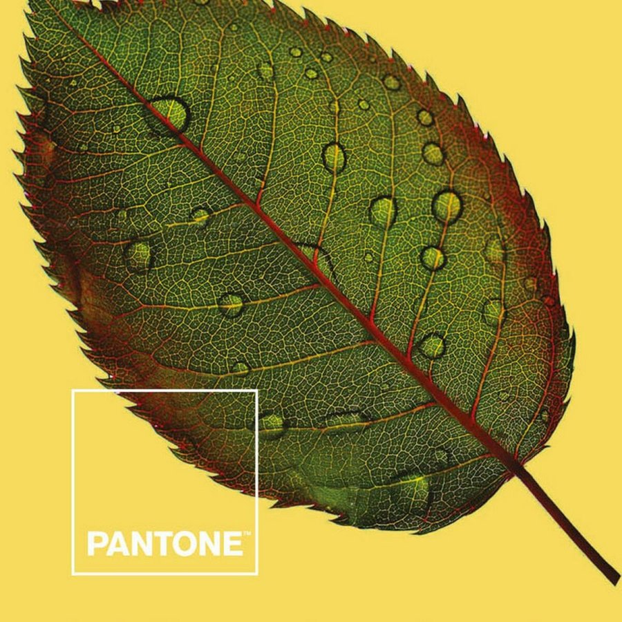 Nordisk cover Nature Pantone #2