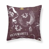 Pudebetrk Harry Potter Creatures Multifarvet 175 Trde 65 x 65 cm #1
