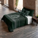 Nordisk cover Harry Potter Slytherin Multifarvet 175 Trde 240 x 220 cm Seng 150/160 #2