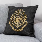 Pudebetrk Harry Potter Sort Multifarvet 50 x 50 cm #2
