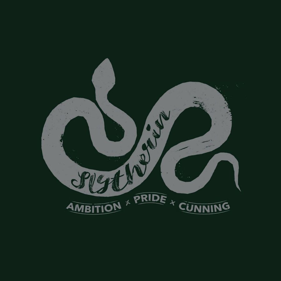 Ederdunsdyne Harry Potter Slytherin Multifarvet 280 x 4 x 270 cm Seng 180 #9