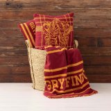 Tppe Harry Potter Gryffindor House Multifarvet 180 x 2 x 260 cm #9