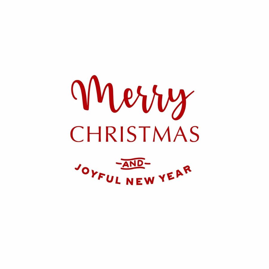 Pudebetrk Belum Laponia Multifarvet 50 x 50 cm #3