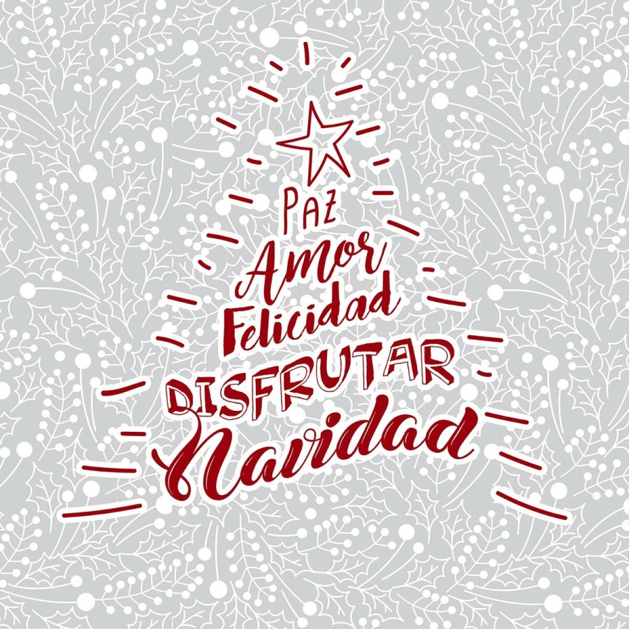 Pudebetrk Belum Laponia Multifarvet 50 x 50 cm #3